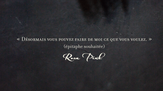 Rosa Pink + PechaKucha&nbsp;Nigth