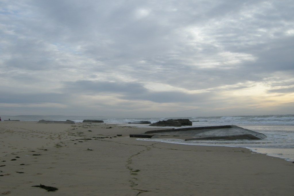 Et pendant ce temps-là, que devient le bulot ?&nbsp;(4)