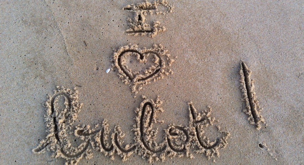 &laquo;&nbsp;L&rsquo;art de la coquille&nbsp;&raquo; ou Comment le bulot survit au milieu des&nbsp;requins…(7)