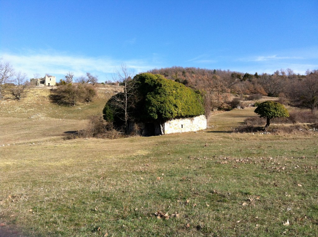Du bleu sur les&nbsp;bords