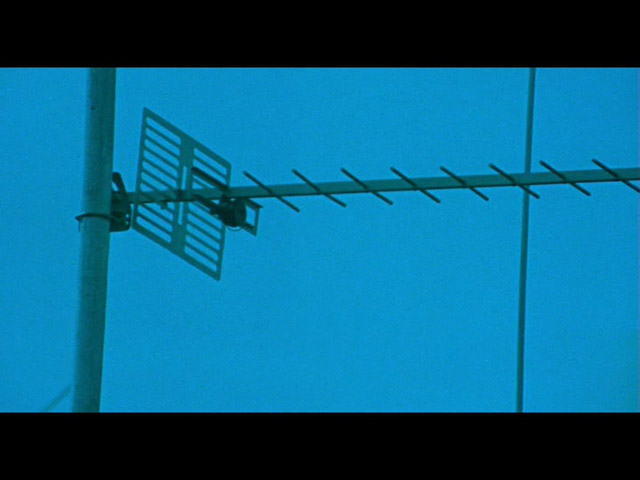 J&rsquo;ai ma bibliothèque dans la peau&nbsp;!