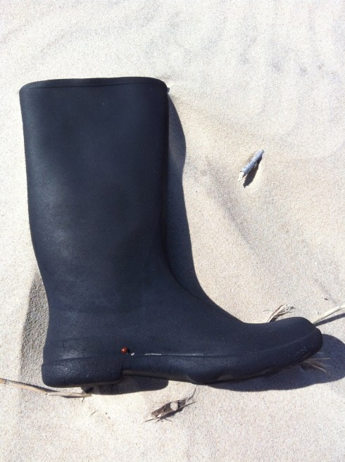 ceci est une botte noire avec une coccinelle dessus