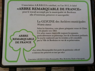 ceci est un cartel d'Arbre remarquable.