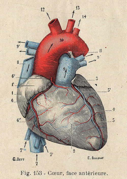 Moncoeur : et ça repart…&nbsp;(11)