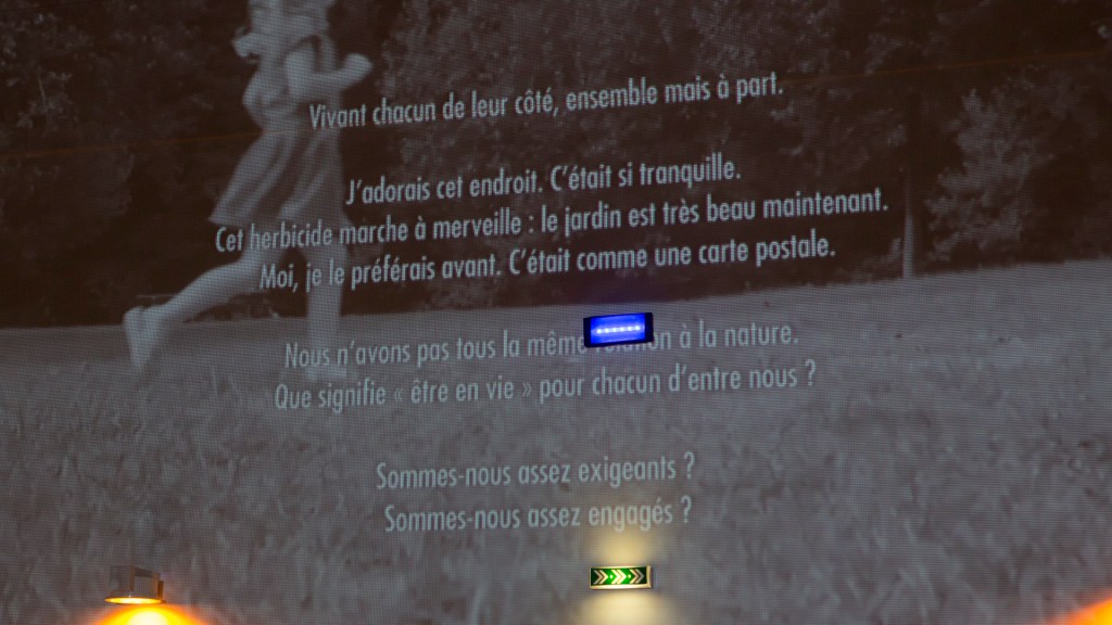 Dissonance-photo-5832