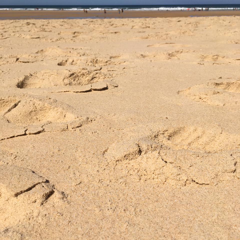 Entendez-vous dans les&nbsp;campagnes…