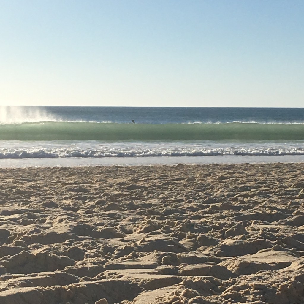 Darwin & Climax & Océan dans le même&nbsp;festival