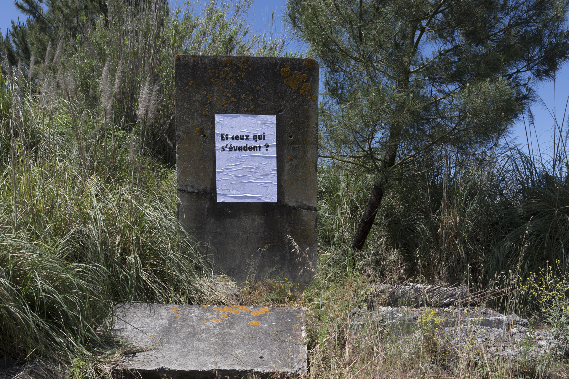 Panoramas-Tarnos-6043