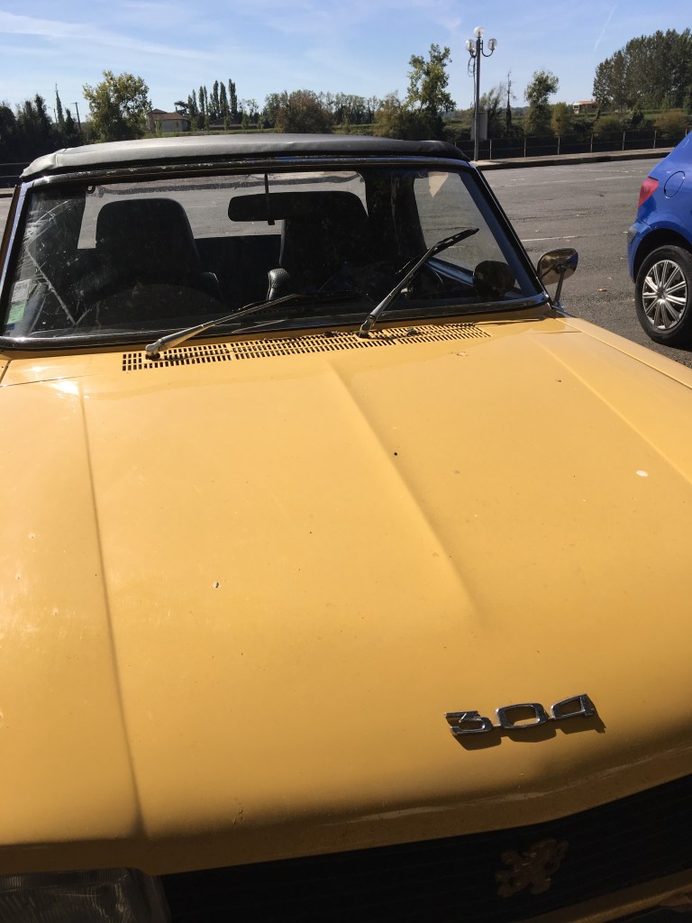 La voiture de la libraire