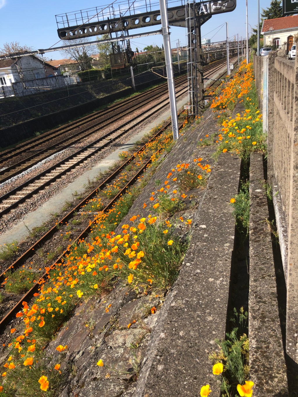 &laquo;&nbsp;nos yeux ont changé&nbsp;&raquo; (16)