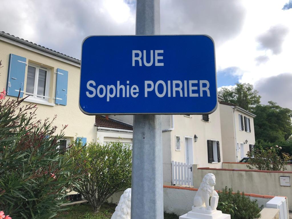 Du poil de la bête&nbsp;(31)